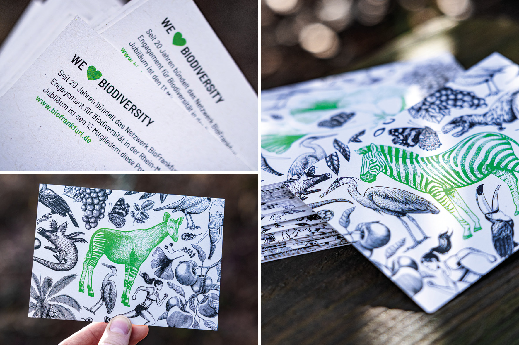 20 Jahre BioFrankfurt Postkartenserie
